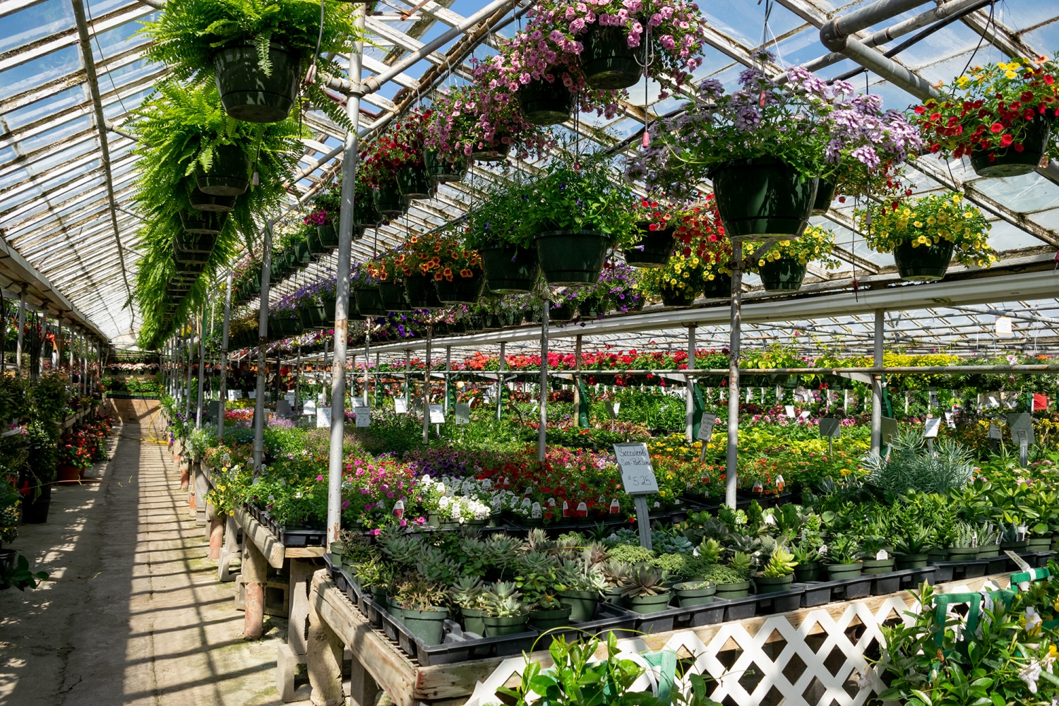 kollmans232 Greenhouse & Garden Center Twinsburg Ohio