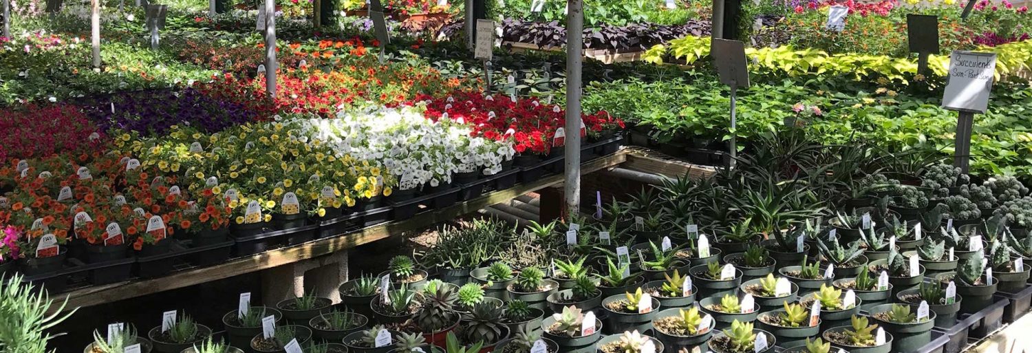 Kollman's Ohio Greenhouse & Garden Center Cleveland Twinsburg Aurora